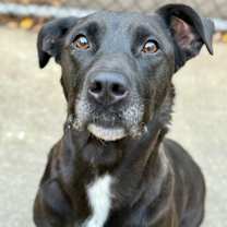 Thumbnail photo of Danita #3