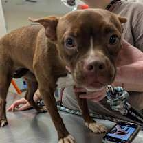 Thumbnail photo of Zenith #2