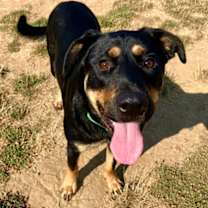 Thumbnail photo of Beebee #2