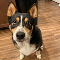 Thumbnail photo of Graham #4