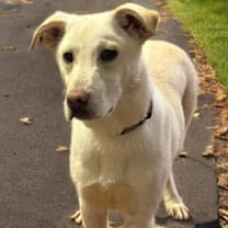 Thumbnail photo of Charlie #1