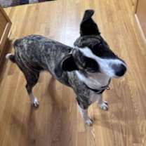 Thumbnail photo of LuckyLady #2