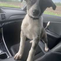 Thumbnail photo of LuckyLady #3