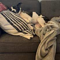 Thumbnail photo of Valkyrie #4