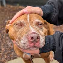 Thumbnail photo of Vanilla #3