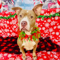 Thumbnail photo of Emma #1