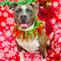 Thumbnail photo of Keeylolo #1