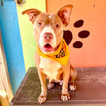 Thumbnail photo of Emma #2