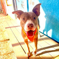 Thumbnail photo of Emma #3