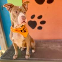 Thumbnail photo of Emma #4