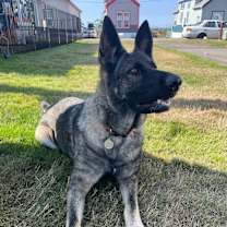 Thumbnail photo of Xena #1