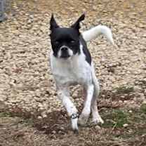 Thumbnail photo of Benny #2