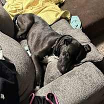 Thumbnail photo of Todd #2