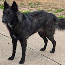 Thumbnail photo of Evie #2