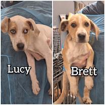 Thumbnail photo of Brett #2