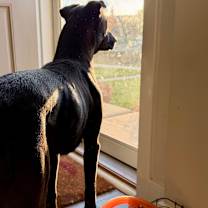 Thumbnail photo of Remington #3