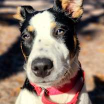 Thumbnail photo of Mia #1