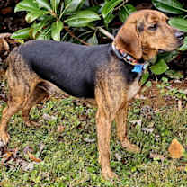 Thumbnail photo of RAYMOND #3