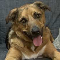 Thumbnail photo of Chase #1