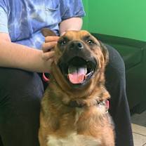 Thumbnail photo of Chase #3