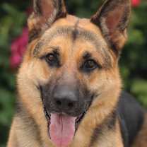 Thumbnail photo of Marcus von Messi #1