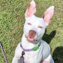 Thumbnail photo of Zelle #1