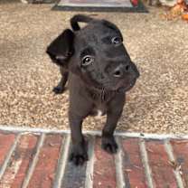 Thumbnail photo of Eddie #3