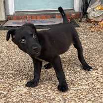 Thumbnail photo of Eddie #4