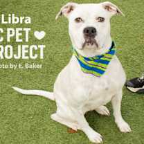 Thumbnail photo of Libra #2