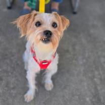 Thumbnail photo of Champ #4