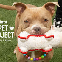 Thumbnail photo of Pinta #2