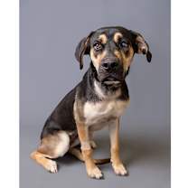 Thumbnail photo of Little Girl  #2