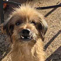 Thumbnail photo of DJ Snagg #2