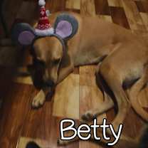 Thumbnail photo of Betty - 25299 #2