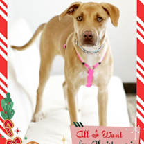 Thumbnail photo of Joelle #1