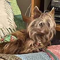 Thumbnail photo of Sage #3