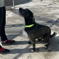 Thumbnail photo of Luther #3