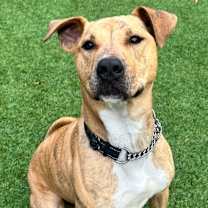 Thumbnail photo of Jingle #1