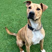 Thumbnail photo of Jingle #2