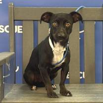 Thumbnail photo of BERGEN #1