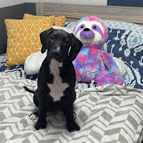 Thumbnail photo of Hank #3