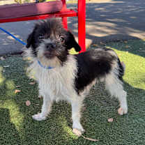 Thumbnail photo of Snickers #2