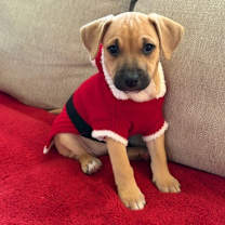 Thumbnail photo of Flannery #1