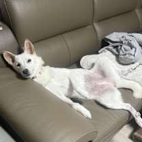 Thumbnail photo of RIKKO #3