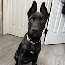 Thumbnail photo of Tiny #3