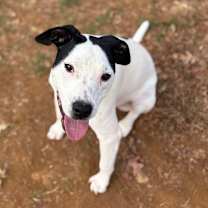 Thumbnail photo of Tuck #1