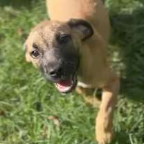 Thumbnail photo of Riley #1