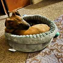 Thumbnail photo of Skeeter #3