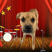 Thumbnail photo of miley #2