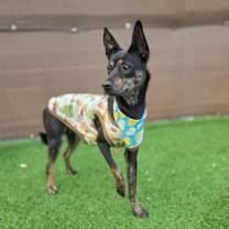 Thumbnail photo of Jena #1